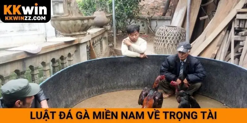 Luật đá gà miền Nam về trọng tài